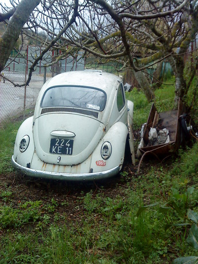 DSC00146.JPG (format web)