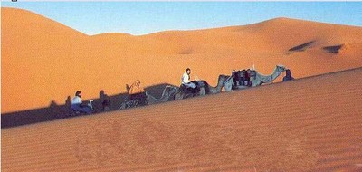 merzouga1.jpg (format web)