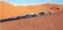 merzouga1.jpg (miniature)