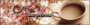 coffee15.png (miniature)