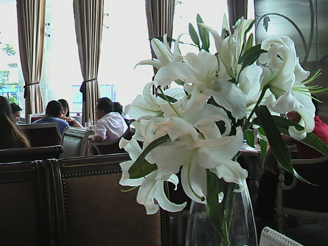 fransisca gallery