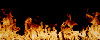 feu5.gif