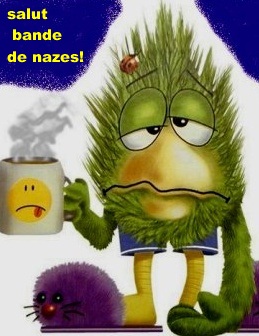 nazes.jpg