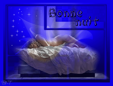 bonne20nuit20bleu.gif