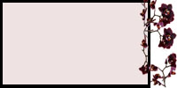 Contacts_orshad.jpg