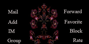 fransisca gallery
