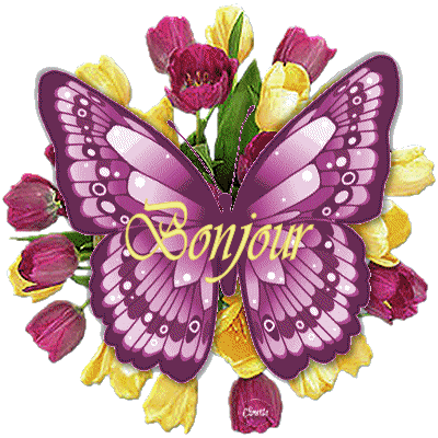 Bonjour3.gif