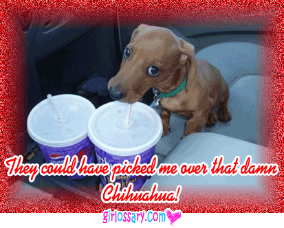 people-and-pets-pet-5693.gif