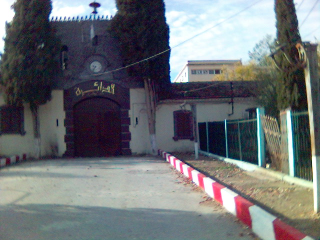 fransisca gallery