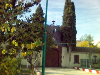 fransisca gallery