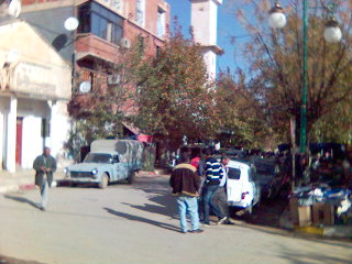 fransisca gallery