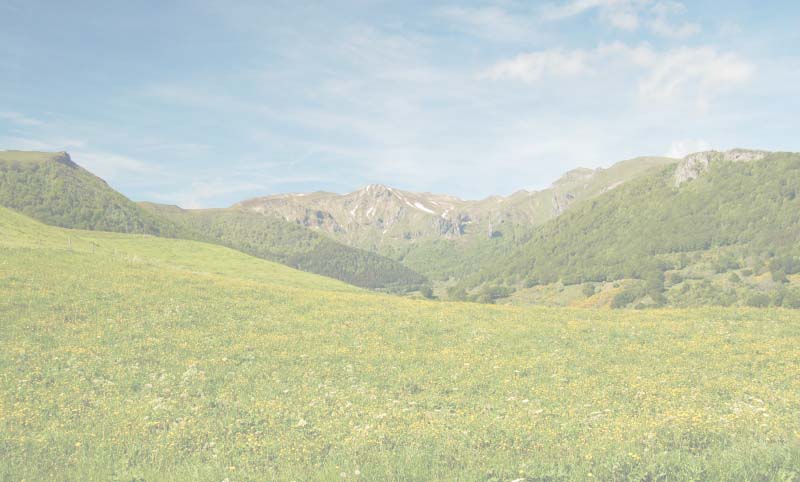 BG_vallee11.jpg