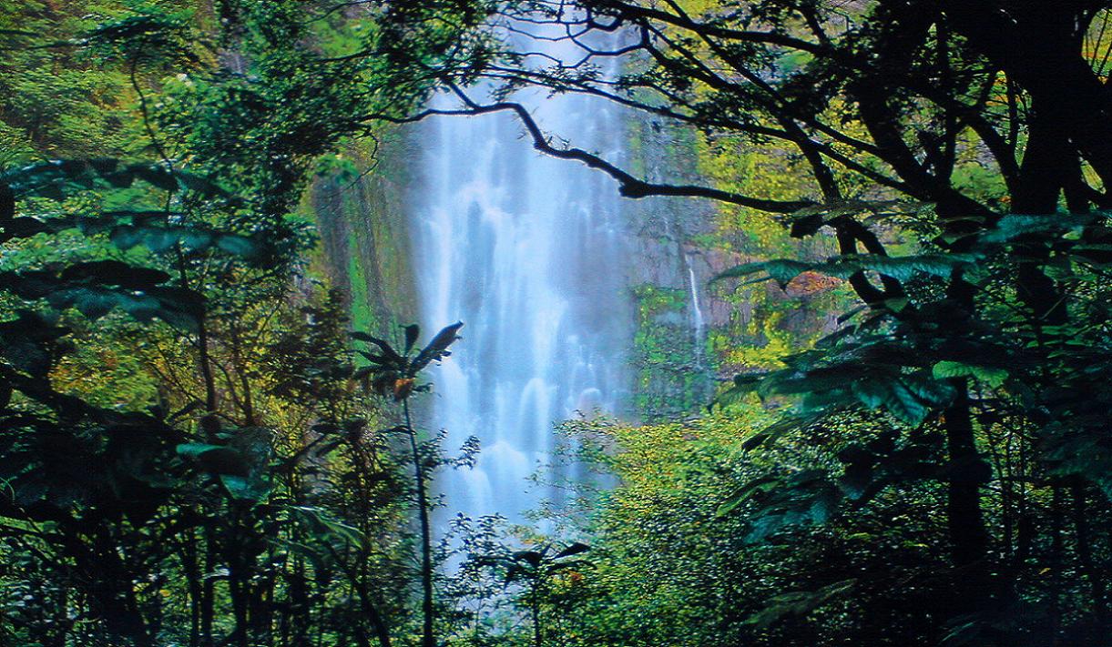 DSC01269_edited.JPG