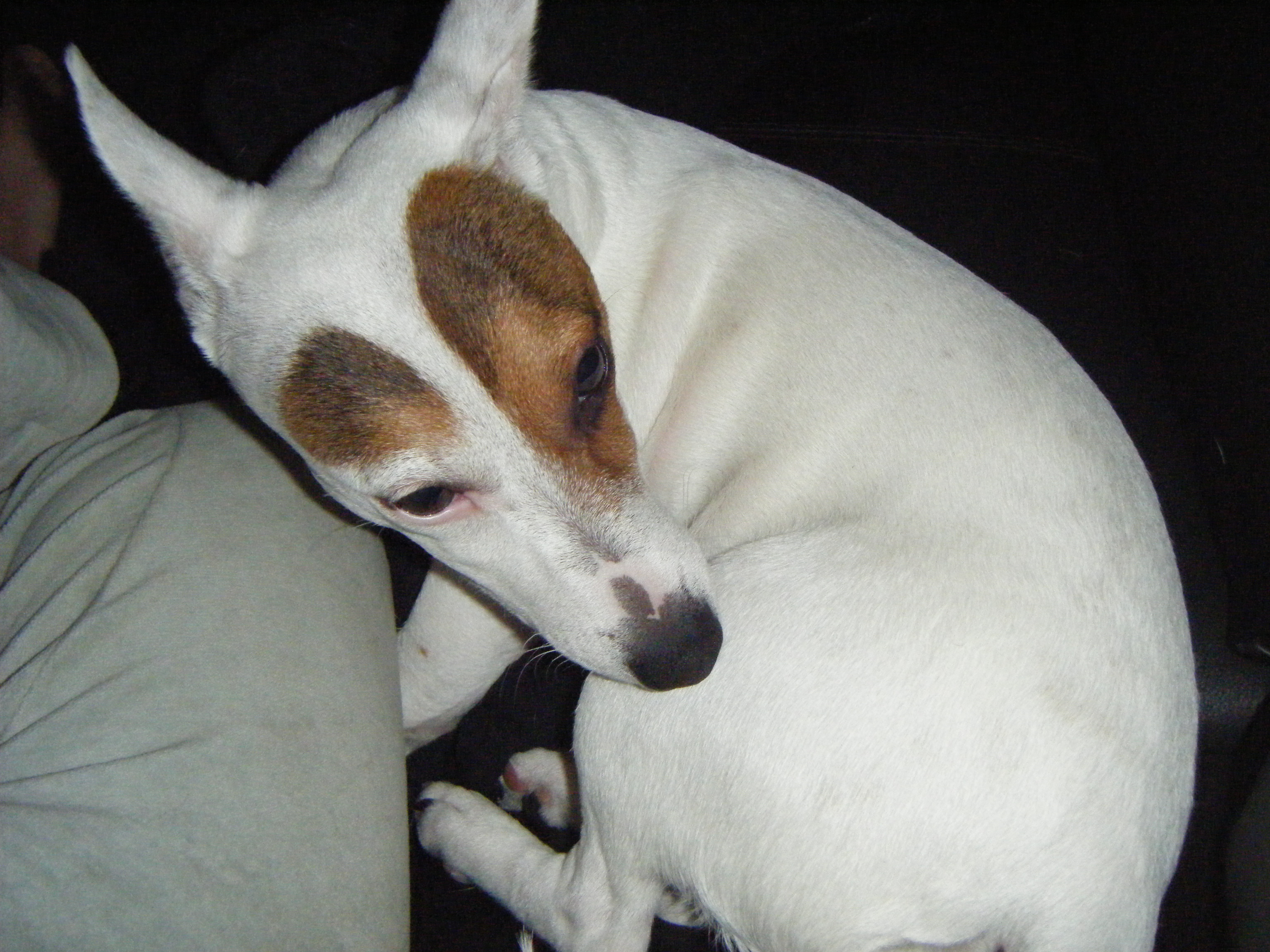DSCF0006.JPG