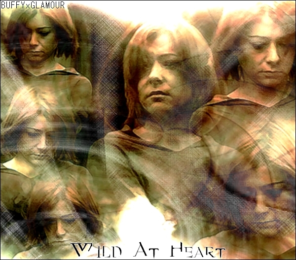 wildheart1.jpg