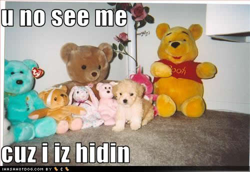 cute-puppy-pictures-iz-hidin.jpg