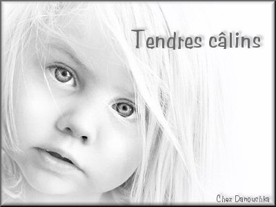 Calin4.jpg
