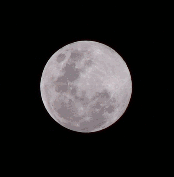dal-eclipse2.gif