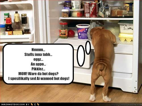funny-dog-pictures-mom-hotdogs.jpg