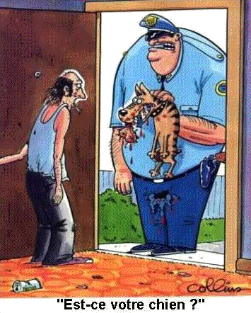 chien.gif