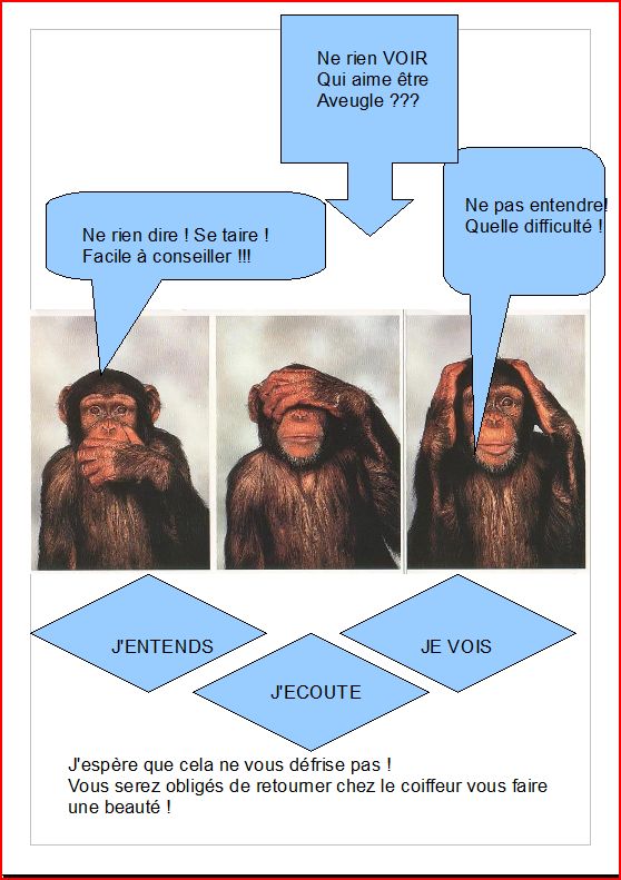 sagesse.jpg