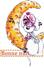 Bonnenuit12.gif