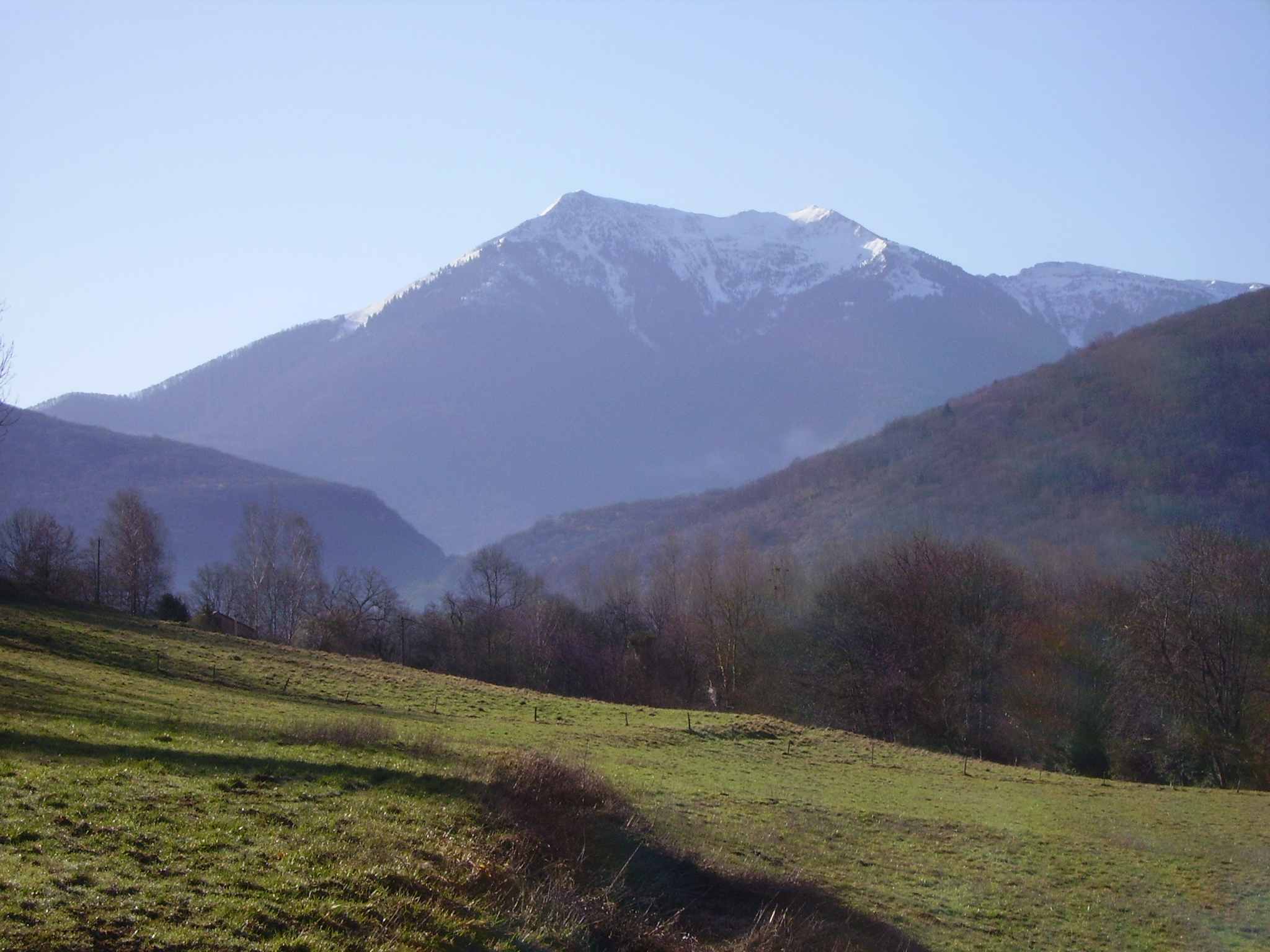 IMGP0195.JPG