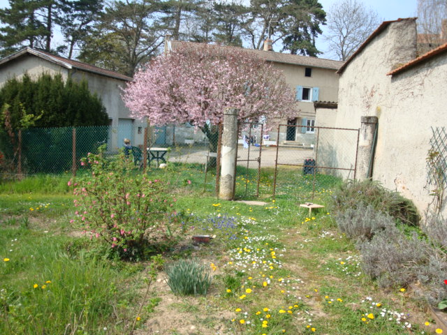 DSC00017.JPG