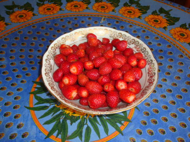 fraises.JPG