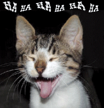 rirechat.gif