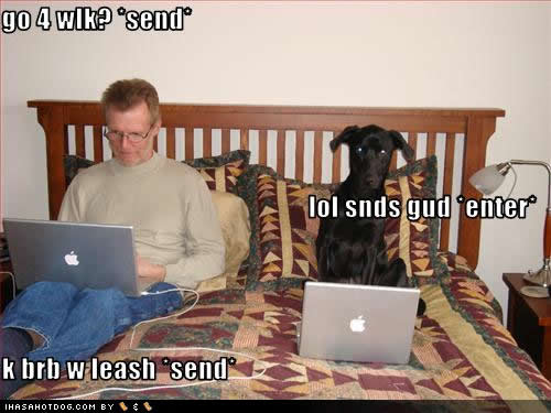 funny-dog-pictures-lol-send.jpg