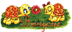 bonjour014tortues24xa.gif