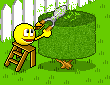 jardin3.gif