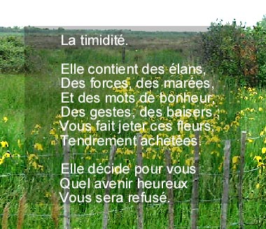 timidite.jpg