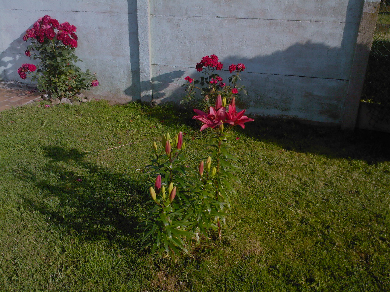 SP_A0072.jpg