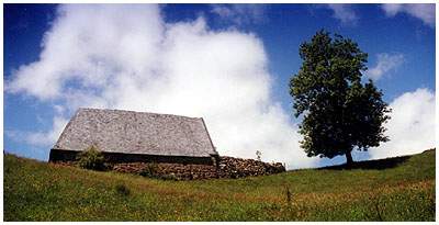 arbr_maison_212.jpg