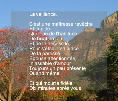 fransisca gallery