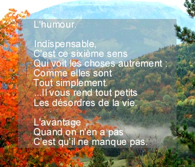 humour.jpg