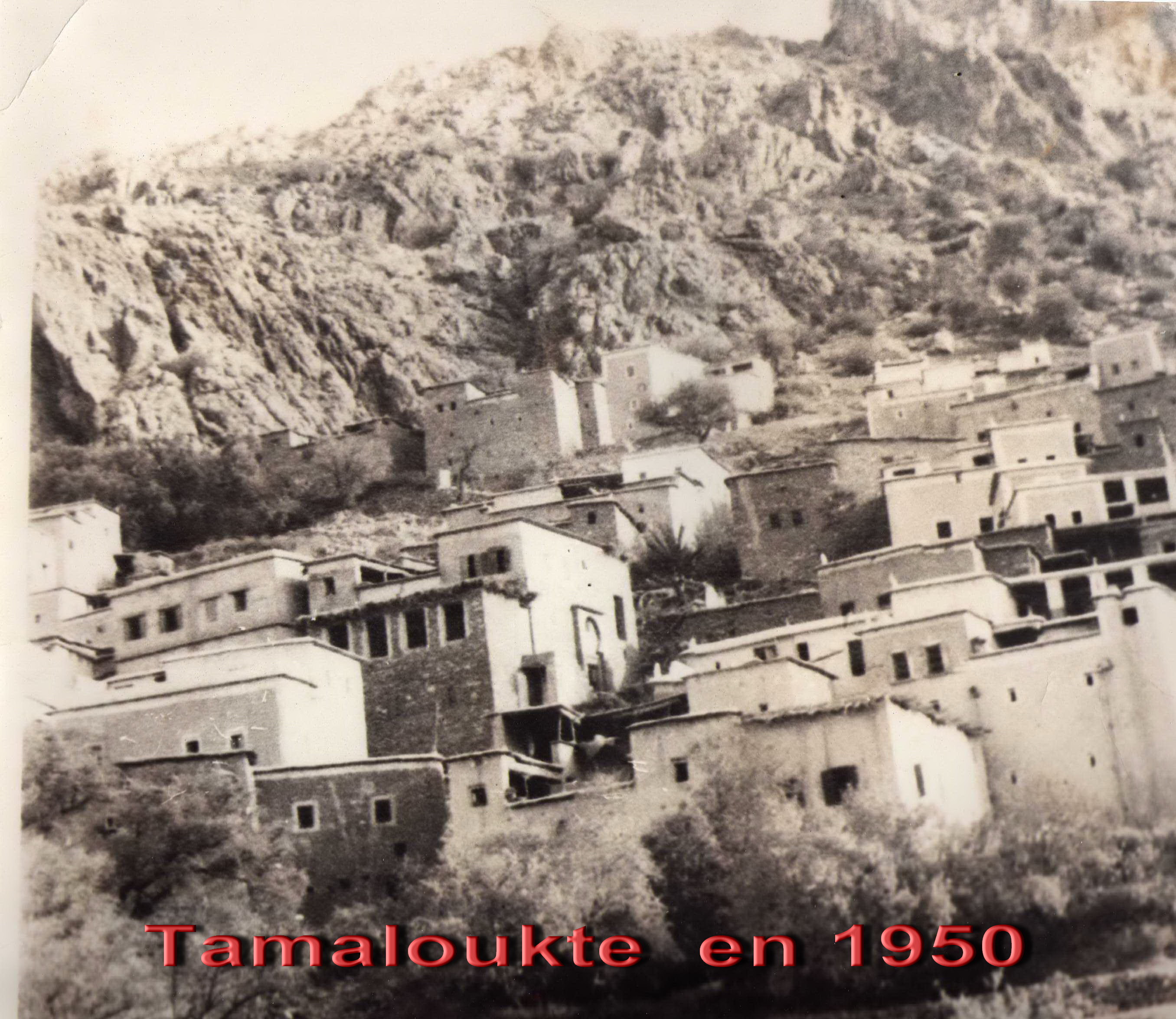 tamaloukte.jpg