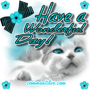 day-cat.gif