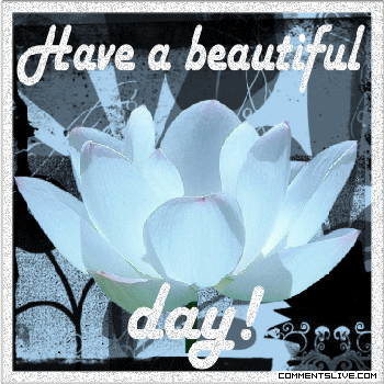flower-beautiful-day.gif