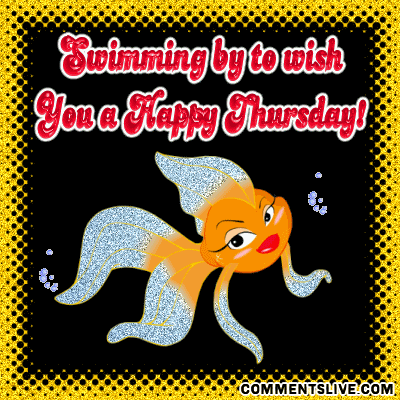 thursday-swimming-81.gif