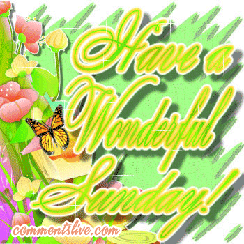 sunday-butterfly.gif