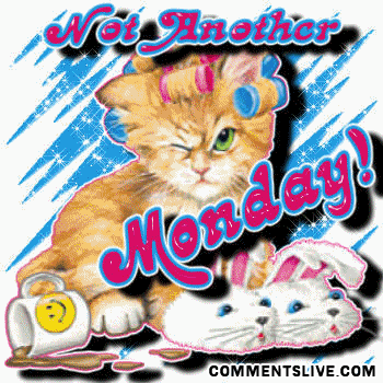 fransisca gallery