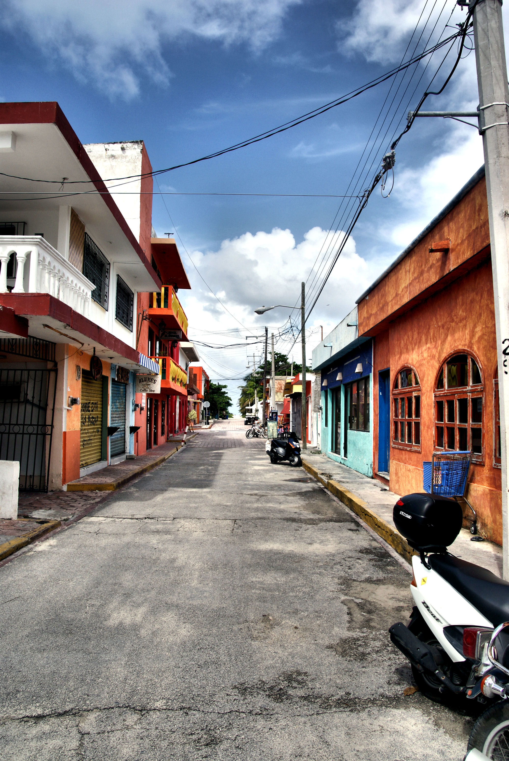 fransisca gallery