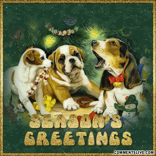 seasons-dogs.gif