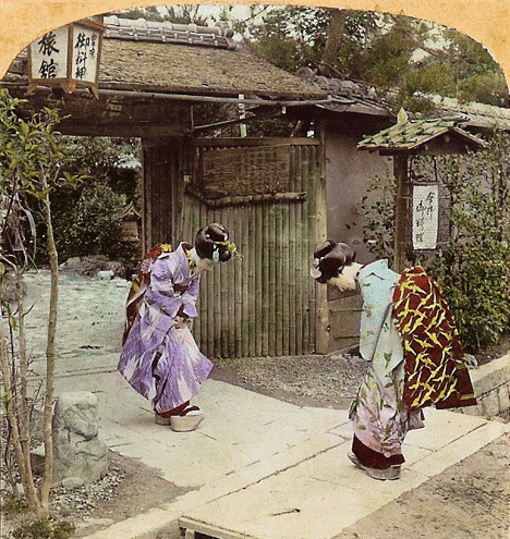 stereoview_2.gif