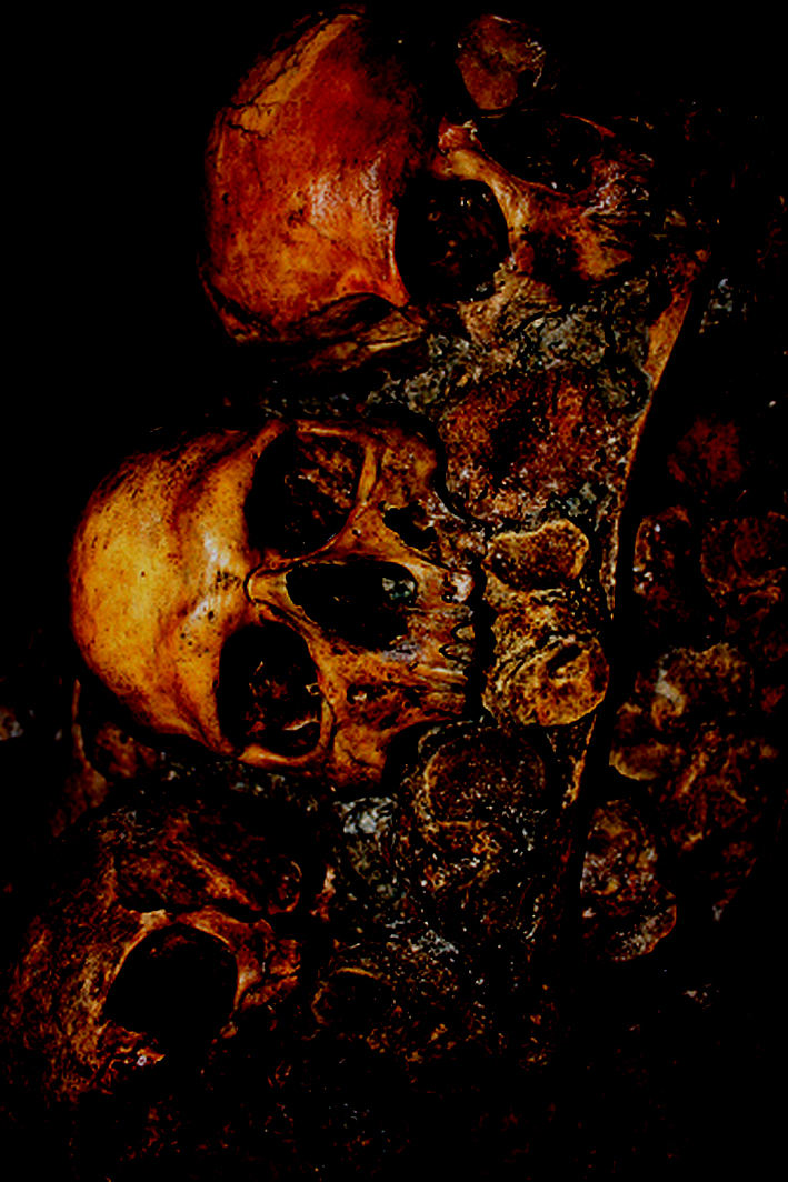 fransisca gallery