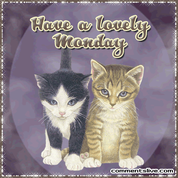 cat-lovely-monday.gif