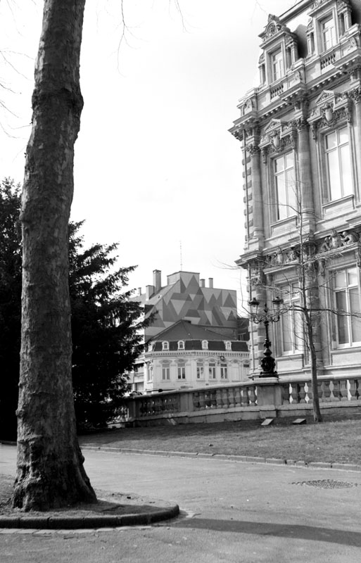 fransisca gallery